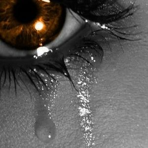 Meet your Posher, Krista gardner